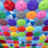 Kleurrijke parasollen